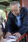 card game; Temple of Heaven Park, Beijing