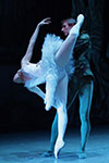 Ballet Idaho: Zeb/Racheal Nole, Swan Lake Idaho