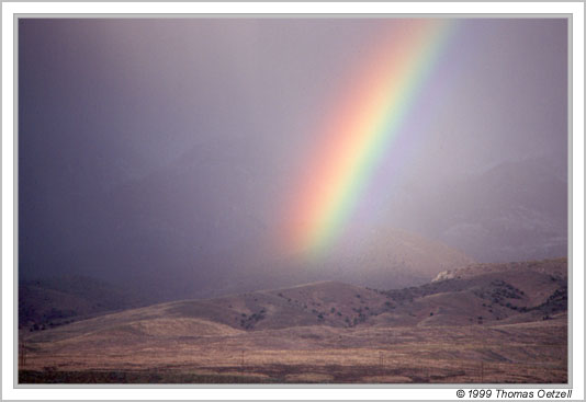 Late spring storm, Ruby Mountains, Nevada
