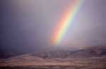 Late spring storm, Ruby Mountains, Nevada