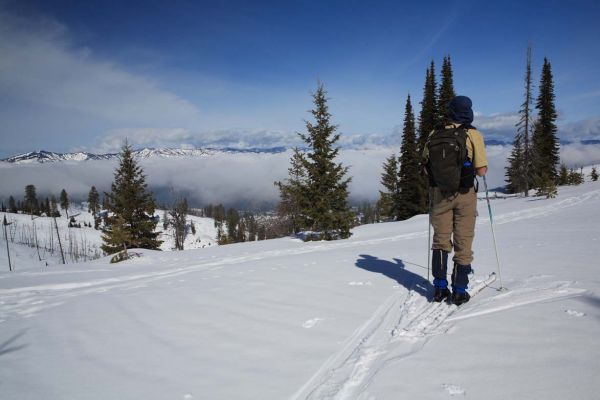 Looking east from Banner Ridge.
