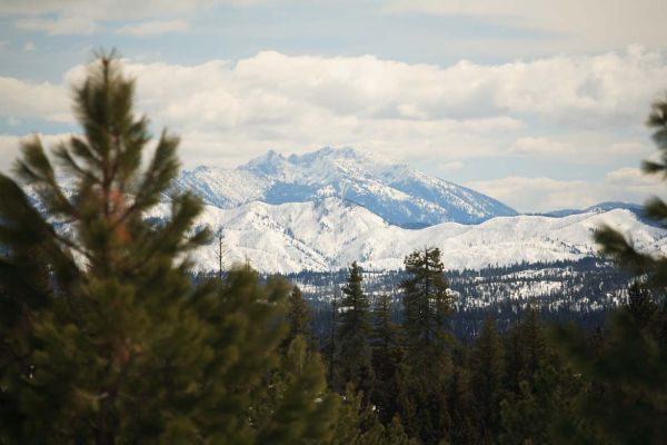 Steel Mountain rises to 9730' across the Middle Fork Boise to the southeast.
