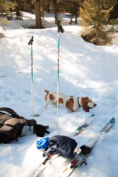 Louie heads over to put on his skis.
