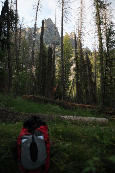 A morning view of Tohobit Peak southwest of Baron Creek.
