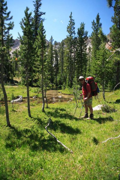 The cross country begins just north of Alpine Lake.
