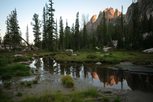 Dawn, stream above Feather Lakes.
