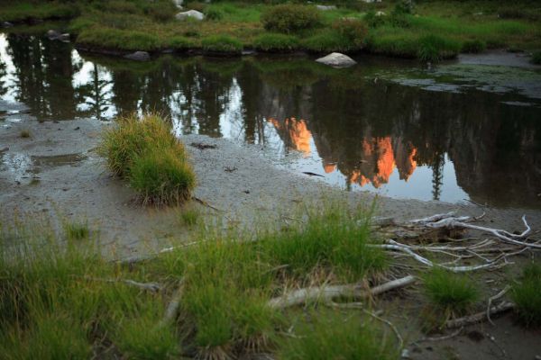 Reflection in stream above Feather Lakes.
