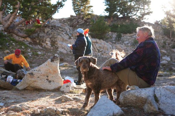 Tail signals indicate Tugie (as in PorTOOGEEse water dog) is rested and ready to go.
