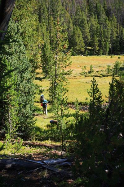 Traversing meadows in the Gunsight Creek drainage.
