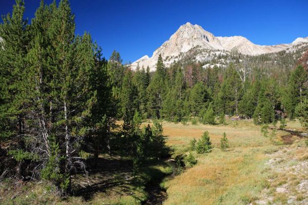 Chinese wall rising above the Gunsight Creek drainage.
