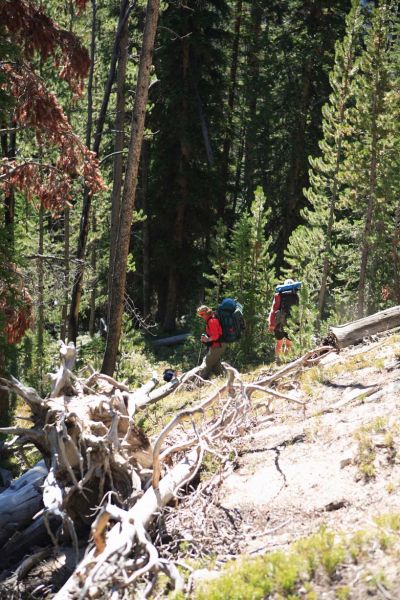 Traversing steep terrain down Gunsight Creek one half mile northwest of the Boulder Creek Trail.
