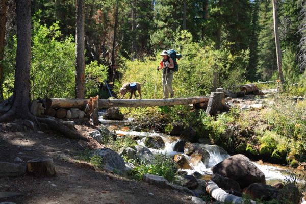 Tugie leads the way over Boulder Creek near the Livingston Mill Trailhead.
