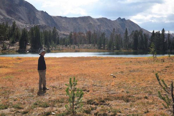 Meadow at lake 9555 in the upper Born Lakes Basin.
