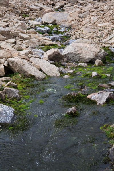 Outlet stream; Four Lakes Basin.
