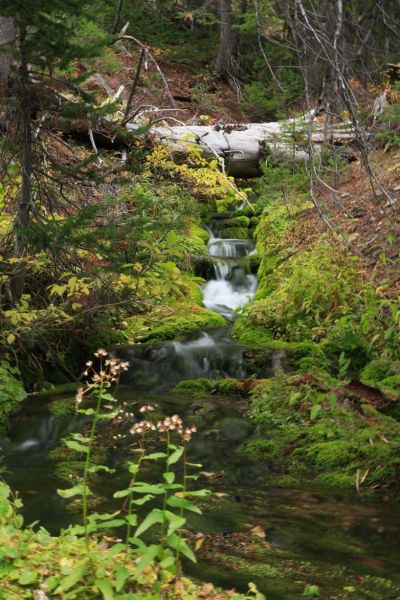 Stream descending from Castle Lake.
