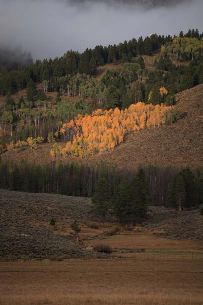 Pre-fall color and fog southeast of Stanley.
