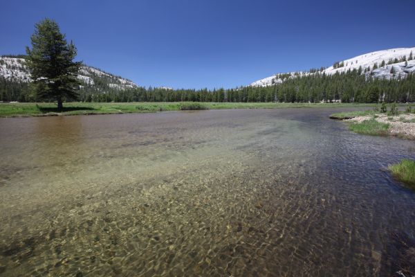 The Tuolumne River, northwest of Tuolumne Meadows on the PCT.
