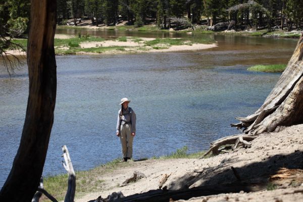 We could not start our backpack until the following day, the earliest date for which we were able to secure a wilderness permit.  We ended up doing a day hike to Glen Aulin, then having to stay in a kind of "backpacker holding" campground.
