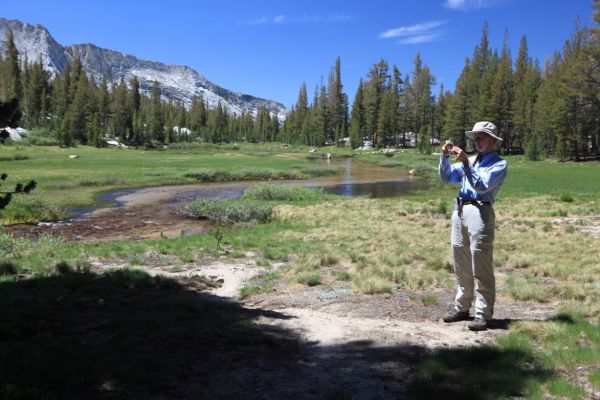 Somewhere along Fletcher Creek.  We have descended to the point where there are now pines in these sub alpine meadows.  A nice place for some lunch.
