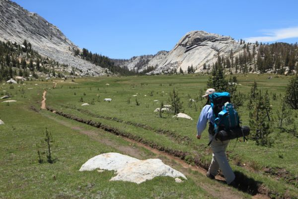 We make good time on the slightly downhill, smooth, straight sections of trail traversing the open meadows of along Fletcher Creek west of Vogelsang Peak.
