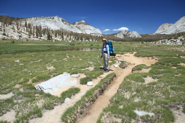 Five hours earlier, we were on the horizon, above the stand of pines, pretty much in exactly the direction the rutted trail is leading back into the photograph.
