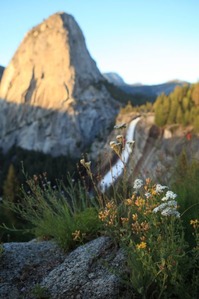 Flowers, Liberty Cap, and Nevada Falls.
