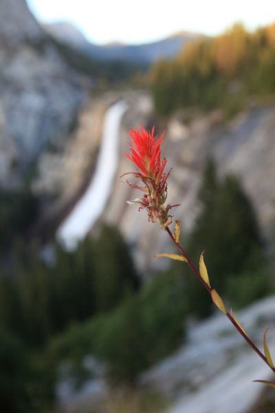 Indian Paintbrush and Nevada Falls; 8:48 pm and at least another mile to camp.  We always bring our headlamps!
