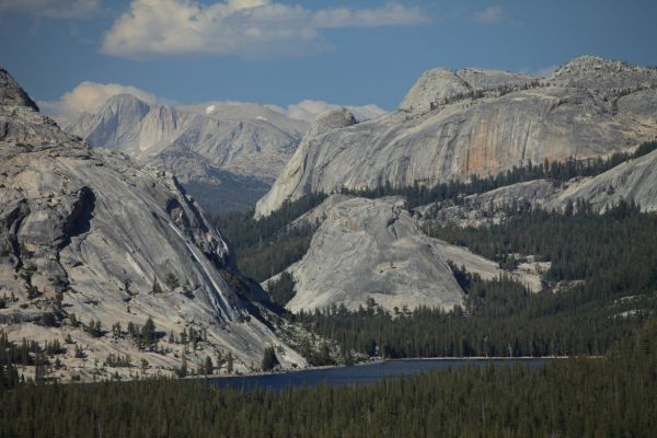 After completing our hike, we drove west from Tuolumne Meadows to Olmsted Point, which offers commanding views south to Half Dome (surprisingly close), and northeast to the domes north of Tenaya Lake.  The Great White Book on Stately Pleasure Dome (far left, west) is a classic 5.6 rock climb.  It is the long, left leaning white line to the left of the right edge of the dome's skyline.  I did this around the same time I first climbed Cathedral Peak.
