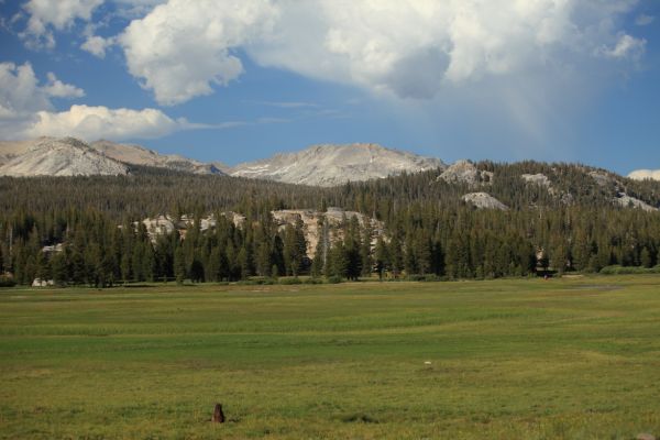 Developing thunderstorm, Tuolumne Meadows.
