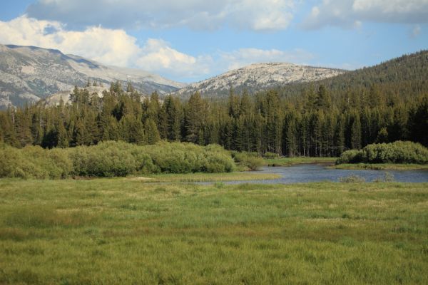 East of Lyell Fork, Tuolumne Meadows.
