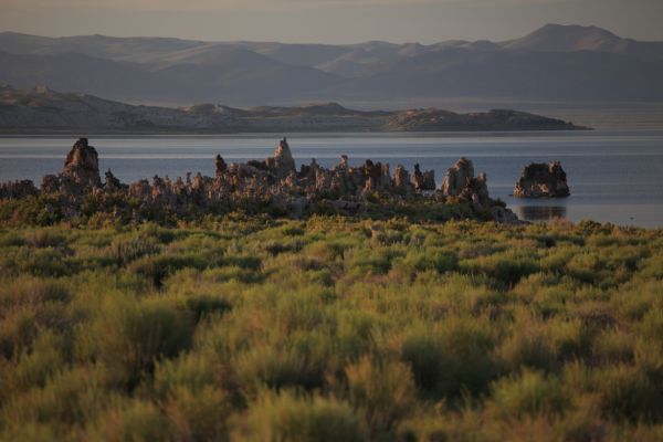 South Tufa grove just off of Hwy 120 East, at the south end of Mono Lake.
