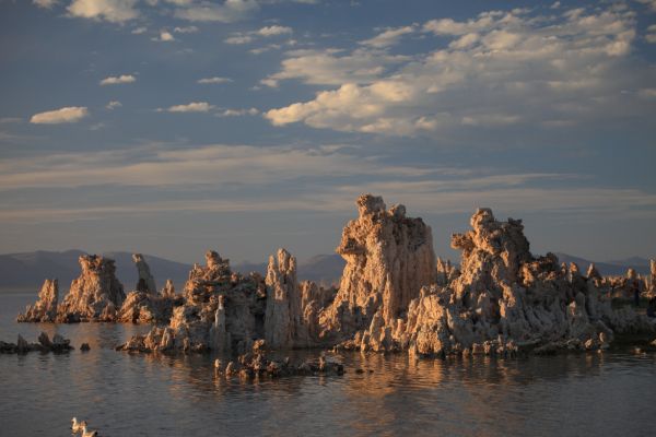 Tufa Towers, South Tufa grove, Mono Lake.
