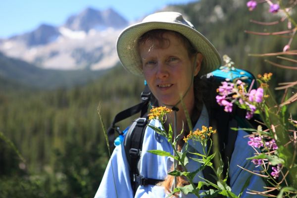 On the switchbacks above Flatrock Junction, Elisa is surrounded by wildflowers; Elk Peak looms in the distance.
