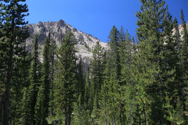 The saddle (hidden in the trees) above Alpine Lake, just northeast of Peak 9769.
