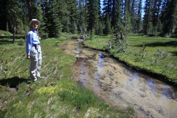 Meandering stream flowing toward Alpine Lake.
