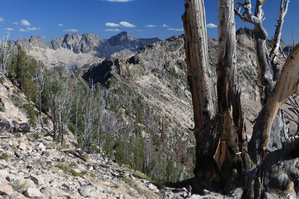 Reward Peak seen in the distance south from the Baron/Warbonnet Lakes saddle.
