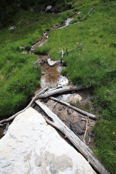 Stream, meadow below Monte Verita ridge.
