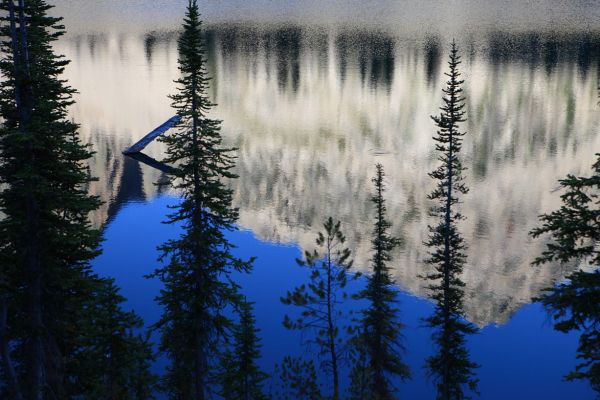 After a night of high wind and rain we awoke to clear skies and peaks reflected in the breezy waters of Packrat Lake. 
