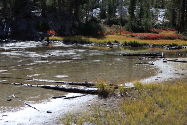 Low water in the upper reaches of the lower of two small, unnamed lakes below Alice Lake.
