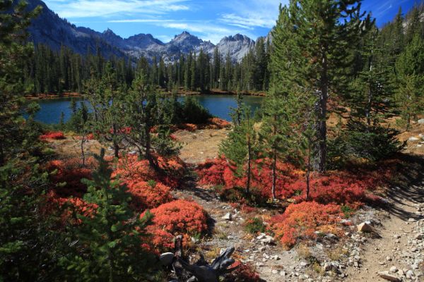 Fall colors in meadow just below Alice Lake.  The upper  of two small, unnamed lakes below Alice Lake is seen in background.
