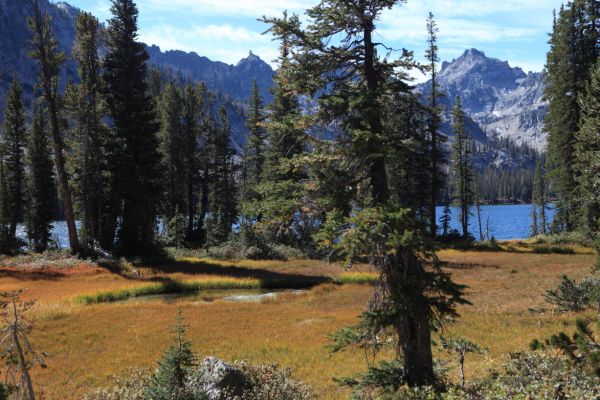 Tarn in meadow adjacent Alice Lake.
