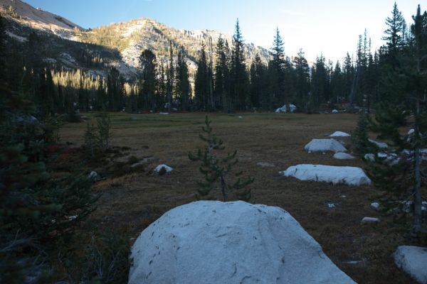 Meadow above Toxaway Lake.
