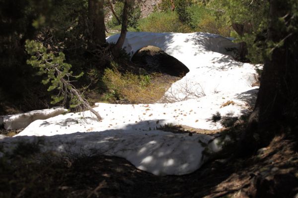 There was snow at the trailhead.
