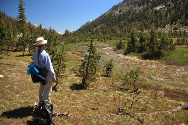 Looking north up Spiller Creek Canyon.
