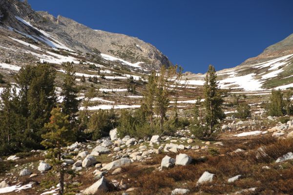 Looking north up Spiller Creek Canyon toward Horse Creek Pass.
