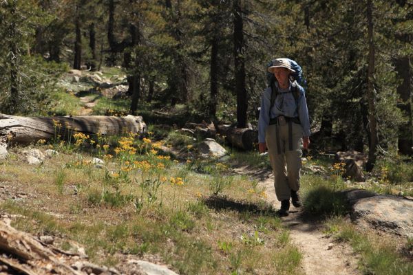 Wildflowers along trail returning to Virginia Canyon from Spiller Creek Canyon.
