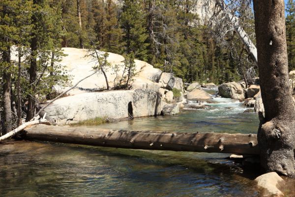 We were fortunate to find an easy way across Return Creek above confluence of McCabe Creek, which proved to be a much more difficult crossing.
