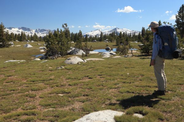 Around 1060' in the Gaylor Lakes basin looking southwest toward Lyell Canyon.
