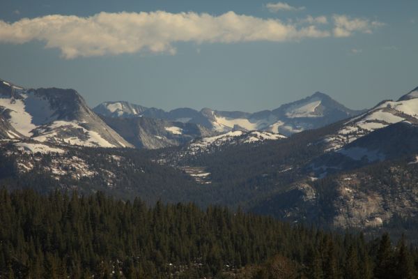 Looking south beyond Tuolumne Meadows peaks rising above Lyell Canyon.
