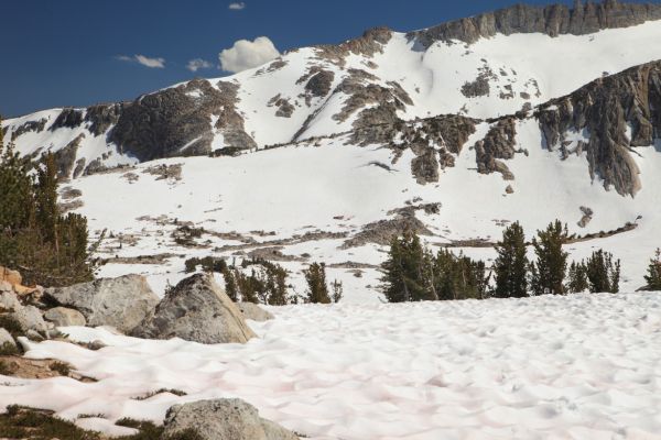 A wider view looking south of the east ridge of Mount Conness on the skyline, and the east ridge of North Peak in the middle ground.  Note the suncups in the foreground.
